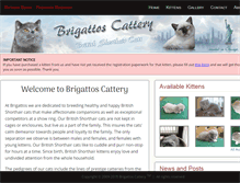 Tablet Screenshot of brigattos.com